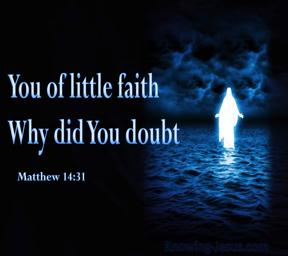 Matthew 14:31 Your Of Little Faith Why Did You Doubt (blue)